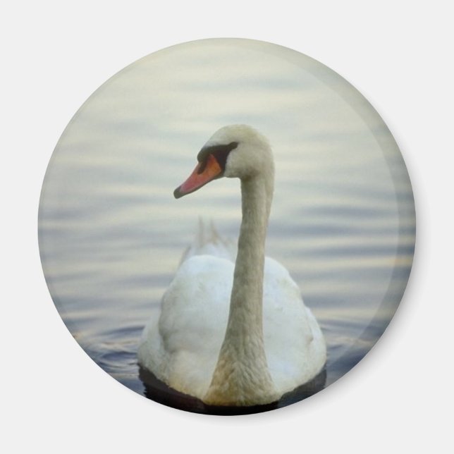 Imã Magneta redonda (Frente)