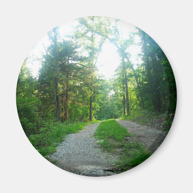 Imã Magneta redonda (Frente)