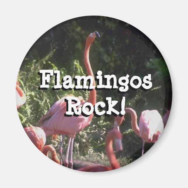 Imã Magneta redonda (Frente)