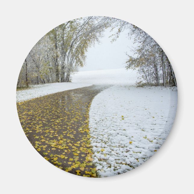 Imã Magneta redonda (Frente)