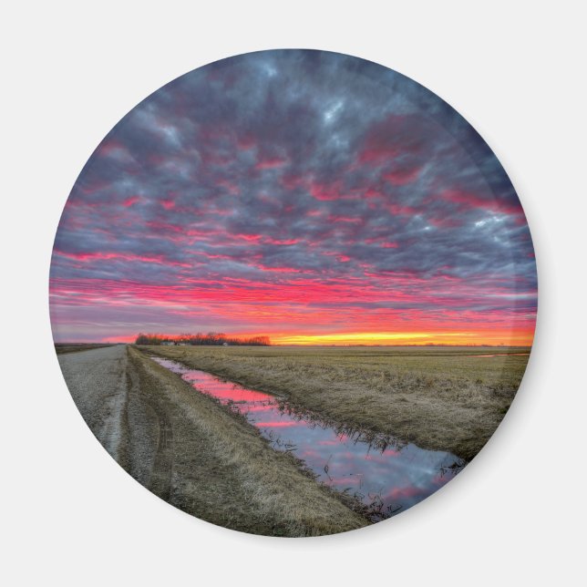 Imã Magneta redonda (Frente)