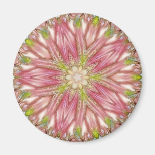 Imã Magneta redonda