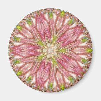 Imã Magneta redonda