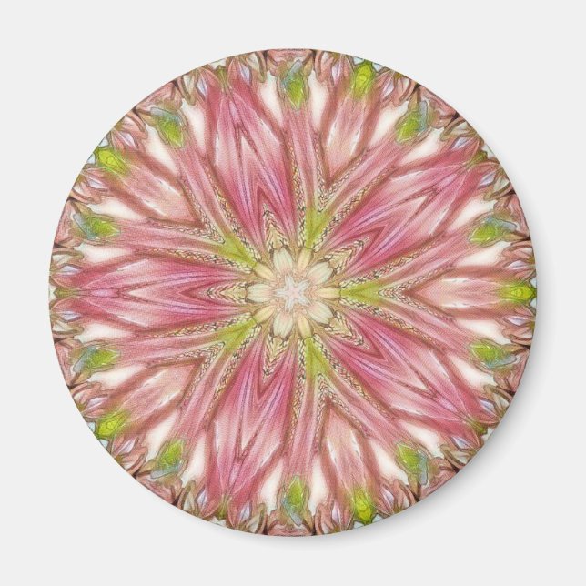 Imã Magneta redonda (Frente)