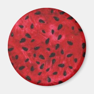 Imã Magneta redonda