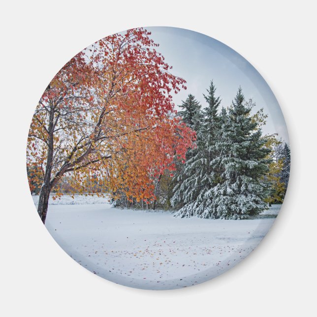 Imã Magneta redonda (Frente)