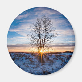 Imã Magneta redonda