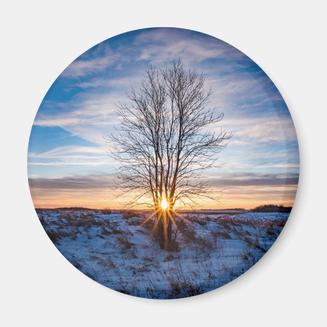 Imã Magneta redonda (Frente)