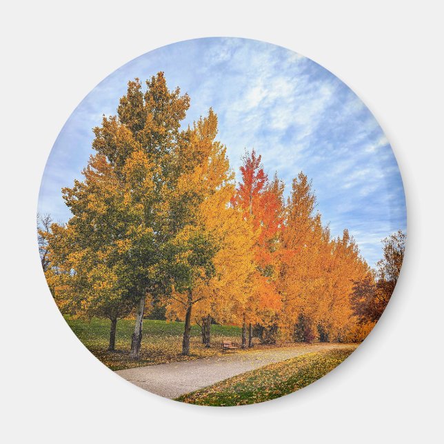 Imã Magneta redonda (Frente)