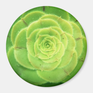 Imã Magneta redonda Bonito de uma planta verde com suc