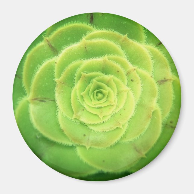 Imã Magneta redonda Bonito de uma planta verde com suc (Frente)