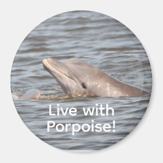 Imã Magneta redonda de golfinhos