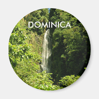 Imã Magneta redonda standard de 2¼ polegadas