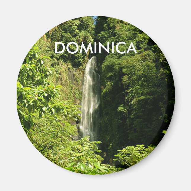 Imã Magneta redonda standard de 2¼ polegadas (Frente)