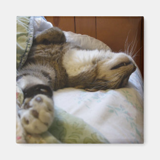 Imã Magneta relaxante Thomas