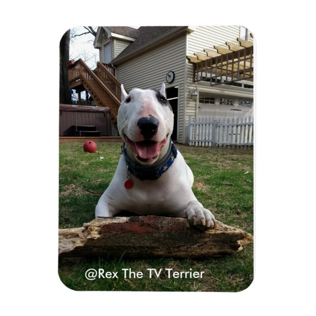 Ímã Magneta Rex Feliz (Vertical)