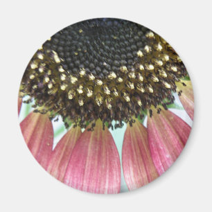 Imã Magneta Rosa