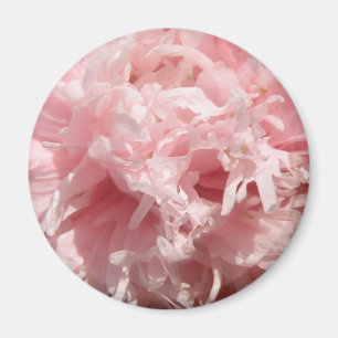Imã Magneta rosa pálida bonito