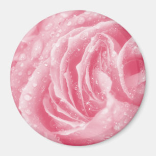 Imã Magneta Rosa Rosa Cinzenta Espontada