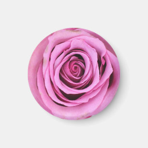 Imã Magneta Rosa Rosa Rosa Rosa Rosa Rosa Rosa