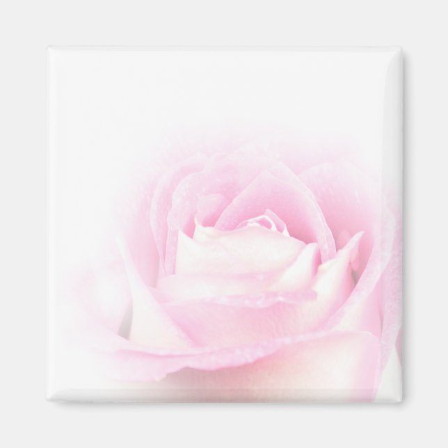 Imã Magneta rosa suave (Frente)
