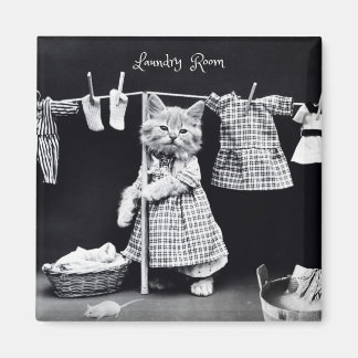 Imã Magneta, roupa de gato