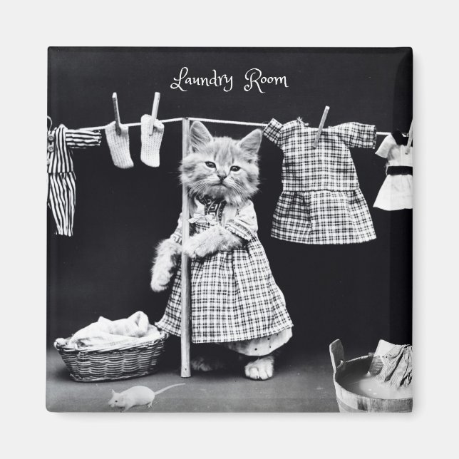 Imã Magneta, roupa de gato (Frente)