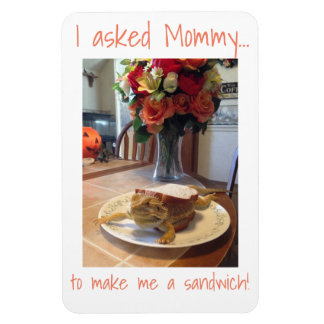 Ímã Magneta Sanduíche do Dragão