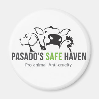 Imã Magneta Santuária