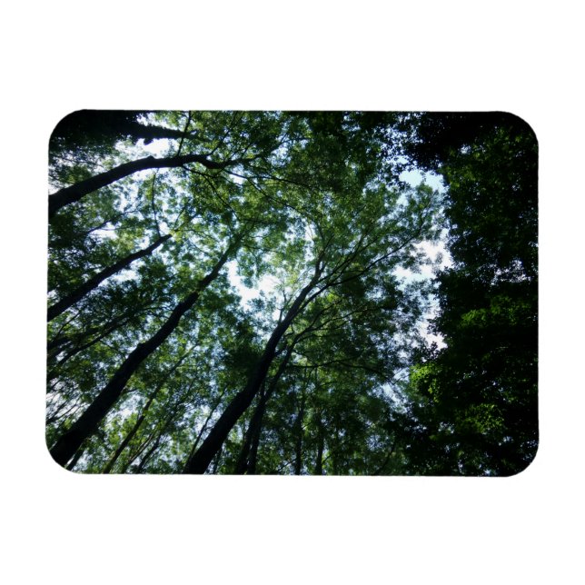 Ímã Magneta Selva 3"x4" (Horizontal)