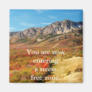 Imã Magneta sem stress