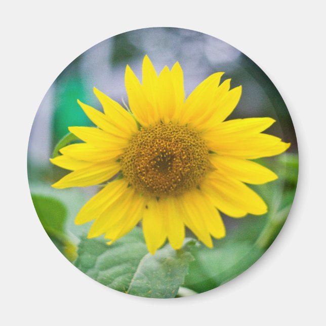 Imã Magneta sem título (Frente)