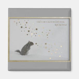 Imã Magneta sem título