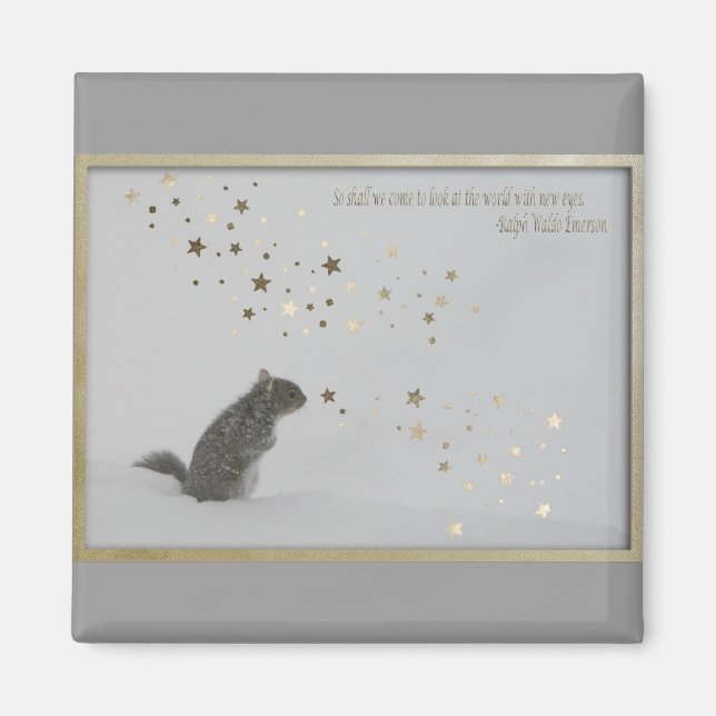 Imã Magneta sem título (Frente)