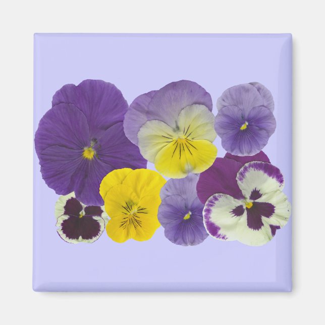 Imã Magneta sem título (Frente)