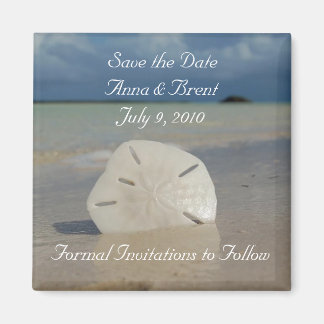 Imã Magneta sem título