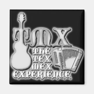 Imã Magneta sem título