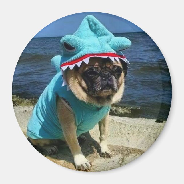 Imã Magneta Shark Pug (Frente)