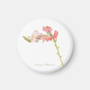 Imã Magneta Snapdragon