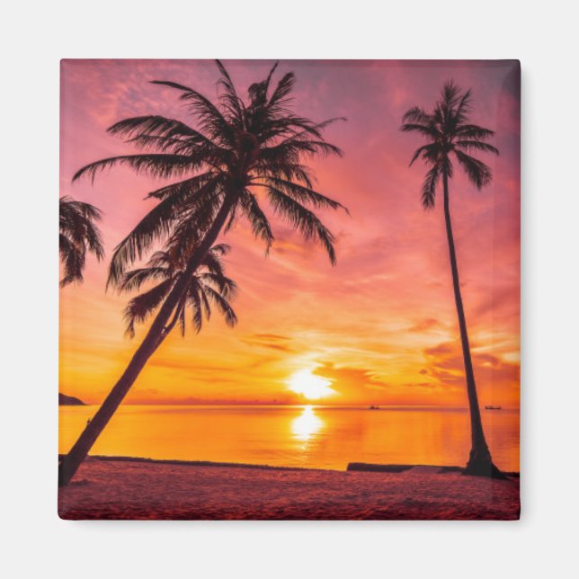 Imã Magneta solar tropical (Frente)
