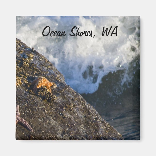 Imã Magneta Starfish & Waves (Frente)