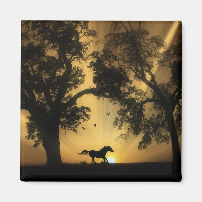 Imã Magneta Super Bonito de Cavalo Livre (Frente)