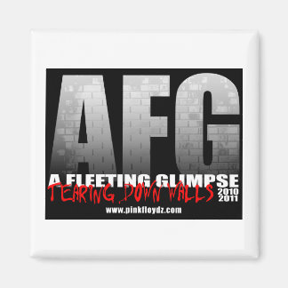 Imã Magneta "Teardown Walls"