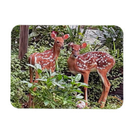 Ímã Magneta Twin Fawns