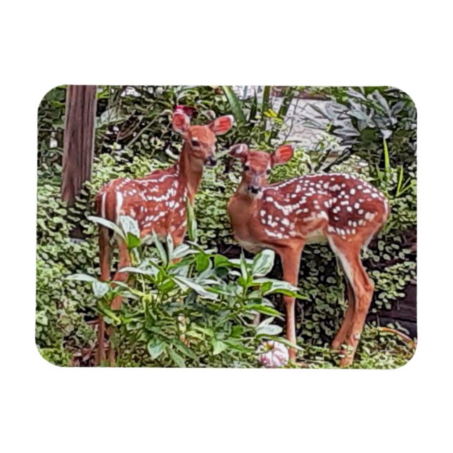 Ímã Magneta Twin Fawns (Horizontal)