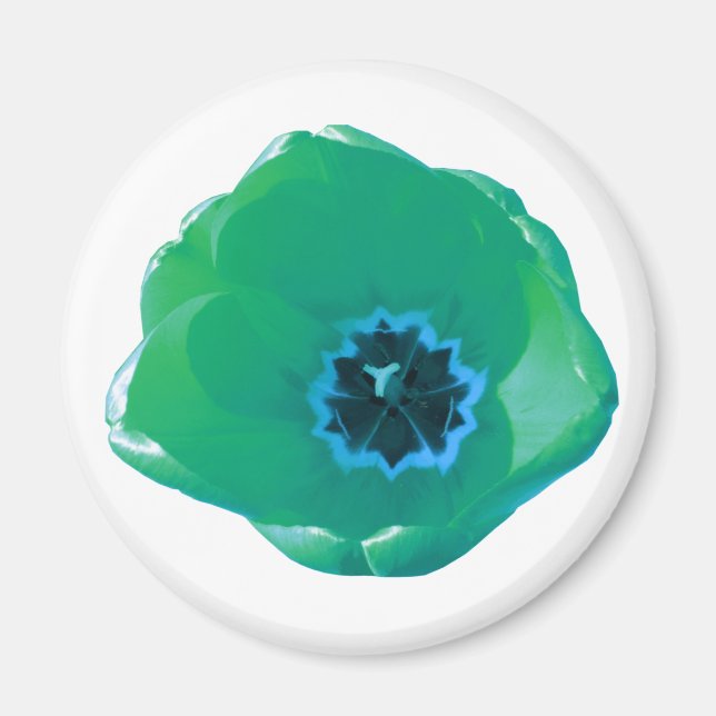 Imã Magneta verde e azul (Frente)