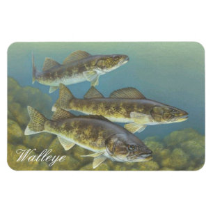 Ímã Magneta Walleye Painting