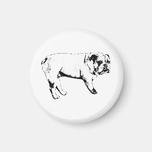 Imã Magneta Watchful Bulldog