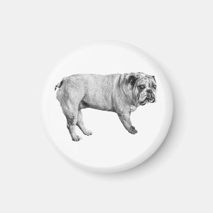 Imã Magneta Watchful Bulldog