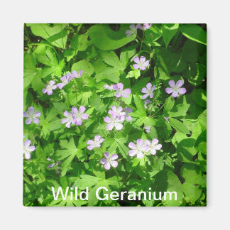 Imã Magneta Wild Geranium
